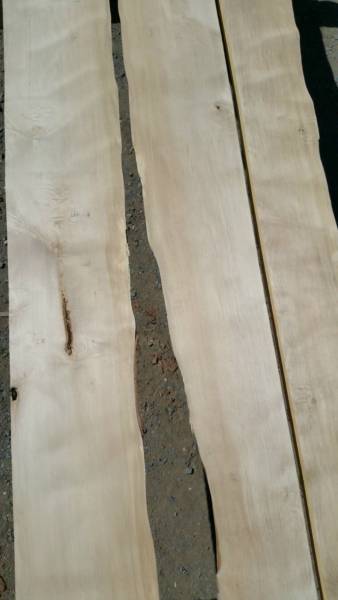  Peninsula Skin Cancer Centre