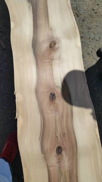 Sydney City Podiatry