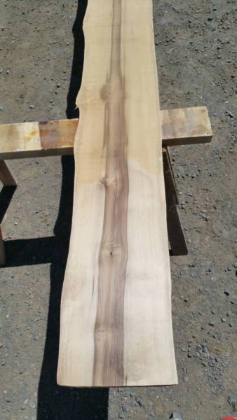 Child's Road Medical Clinic 