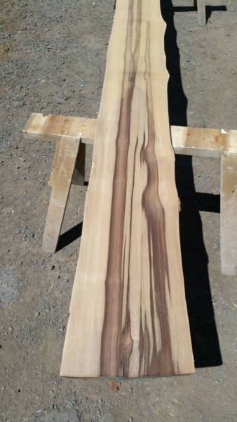 Child's Road Medical Clinic 