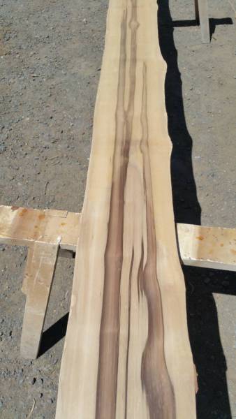 Child's Road Medical Clinic 