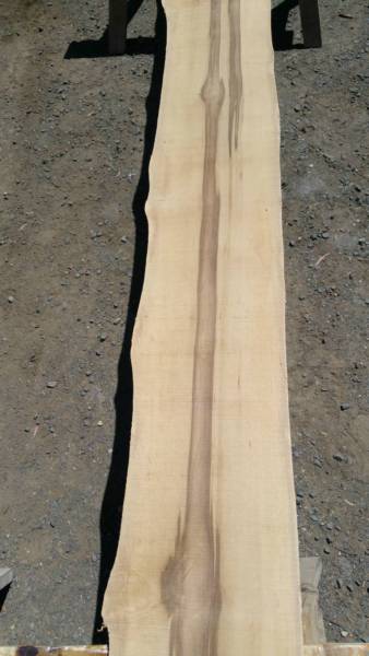 Child's Road Medical Clinic 