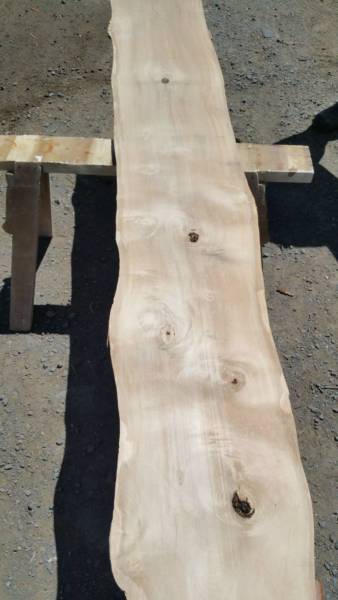 THE COSMETIC AND RESTORATIVE SURGERY CLINIC