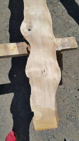 THE COSMETIC AND RESTORATIVE SURGERY CLINIC