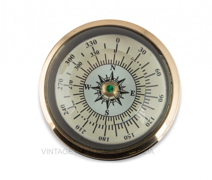 Compass – Floating Curve Glass Brass Ant