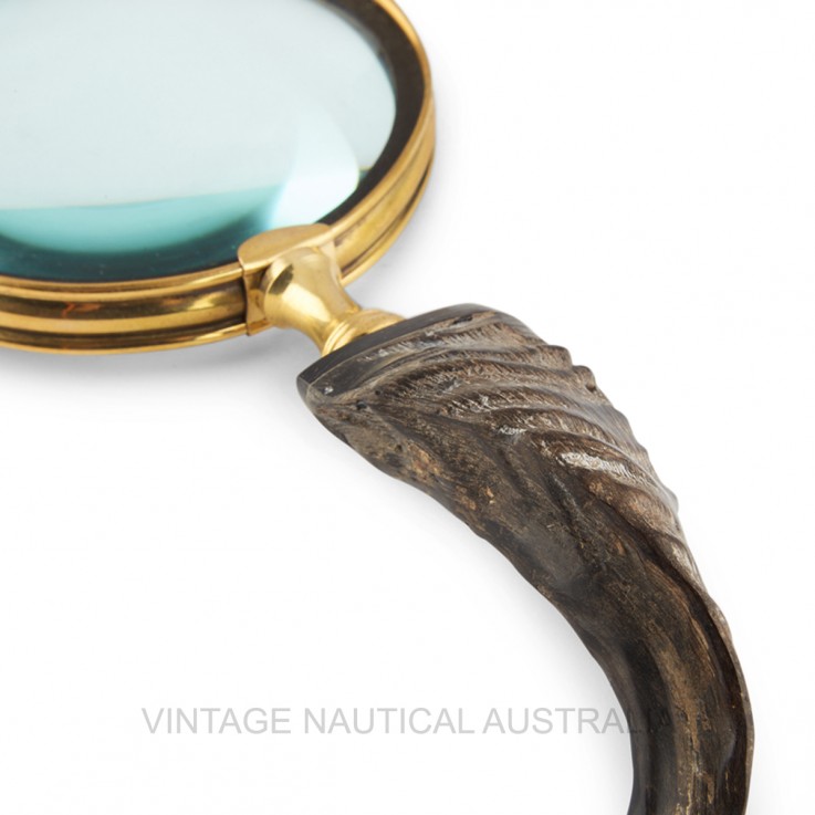 Magnifying Glass – Sheep Horn