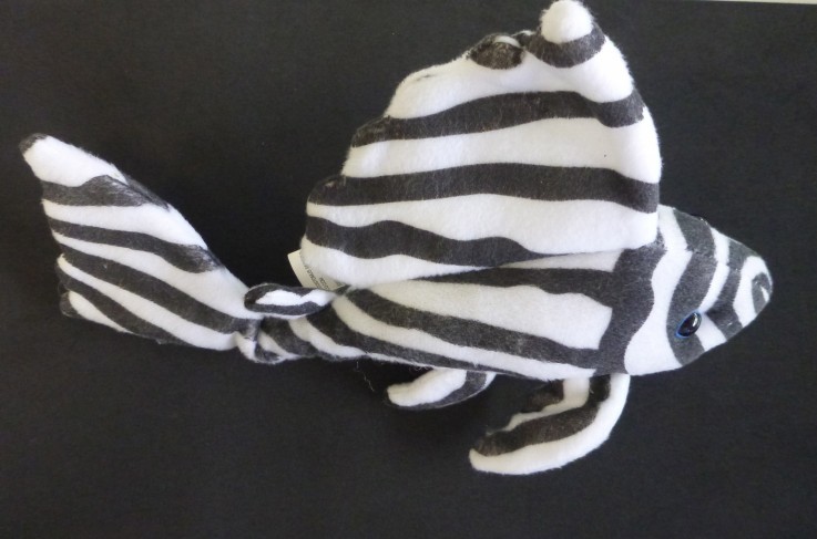 Zebra Plush Pleco