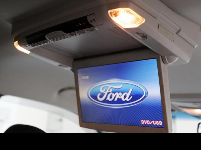 Termite Control - Pest Control Melbourne