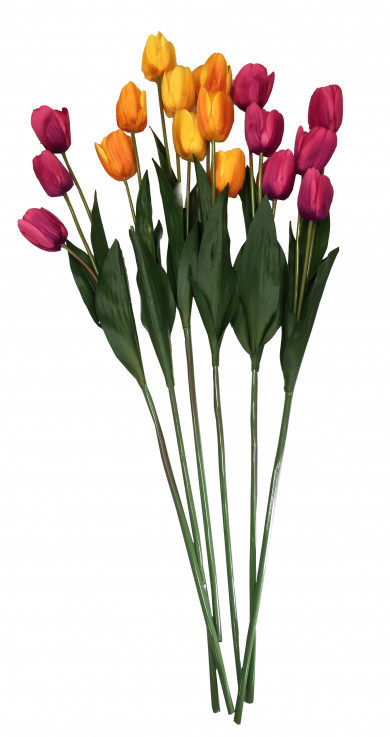 Tulips – 100cm