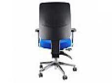 ERGOFORM TASK CHAIR MEDIUM BACK BLUE CHR